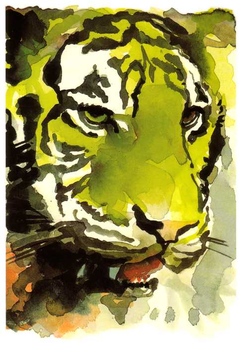 05.tiger
